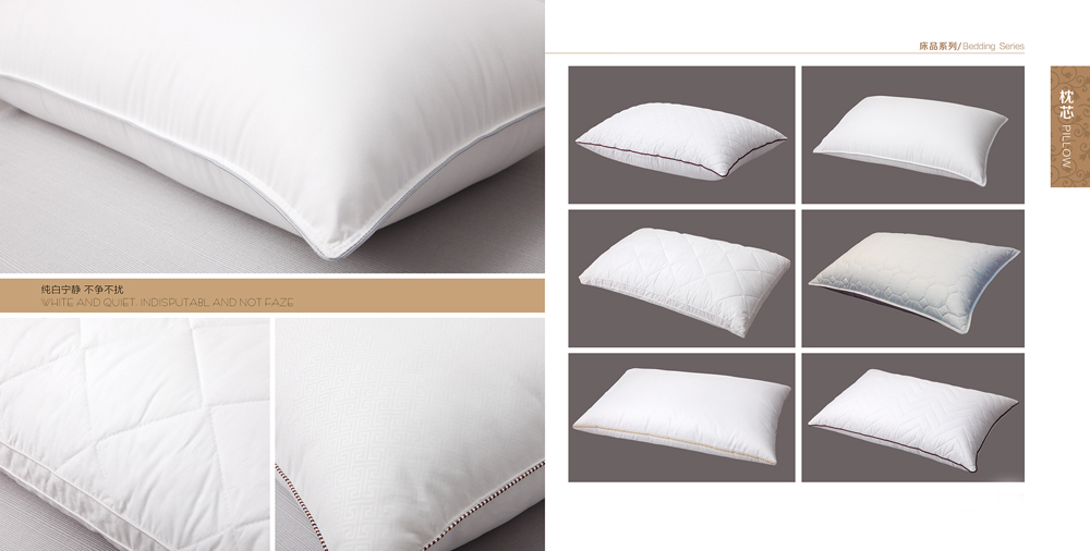 Products Name:Pillow (2)